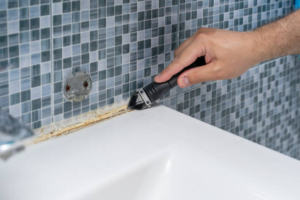 Best DIY Mold Remediation Support Services in Marina Del Rey, CA